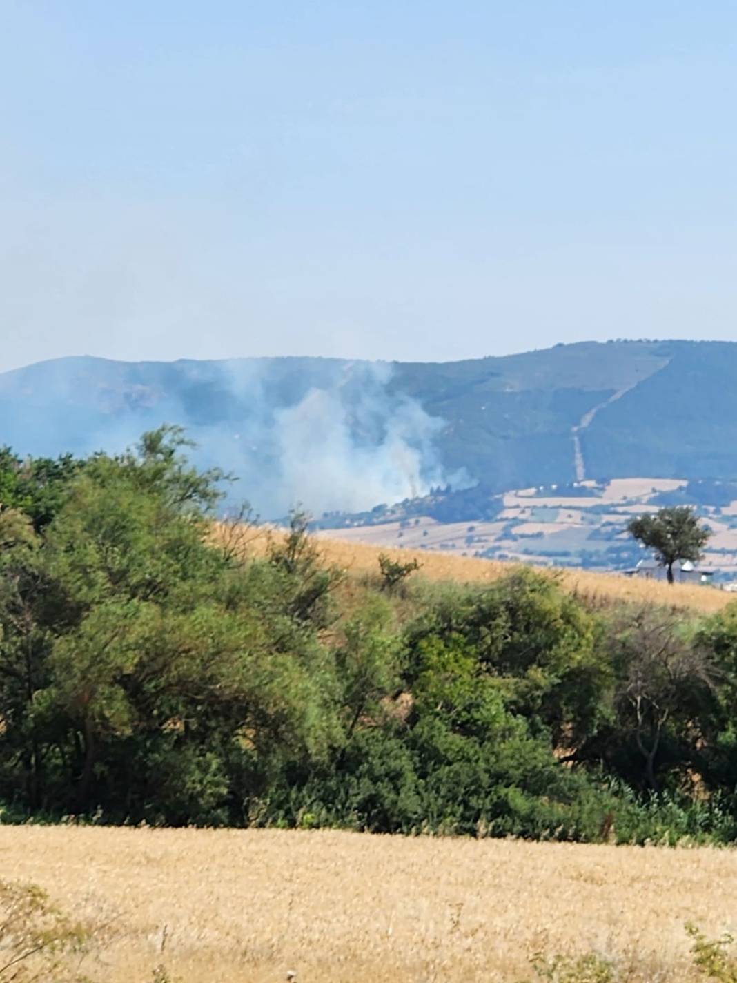Balıkesir'de orman yangını! Karadan ve havadan müdahale ediliyor 5
